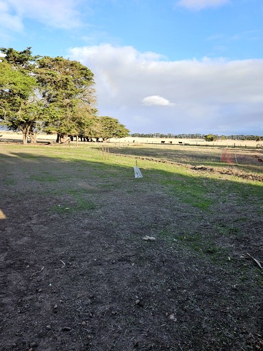 Tiny Houses (Australia, Purdeet, Victoria)