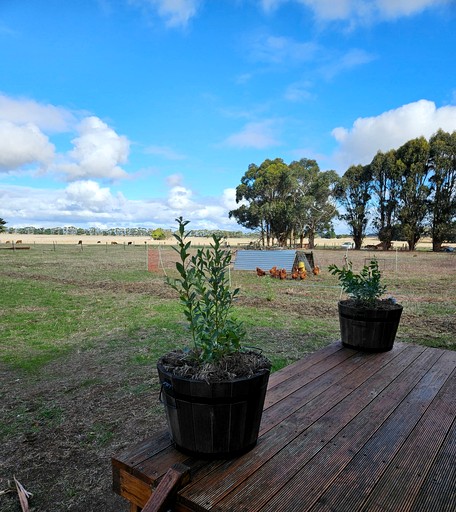 Tiny Houses (Australia, Purdeet, Victoria)