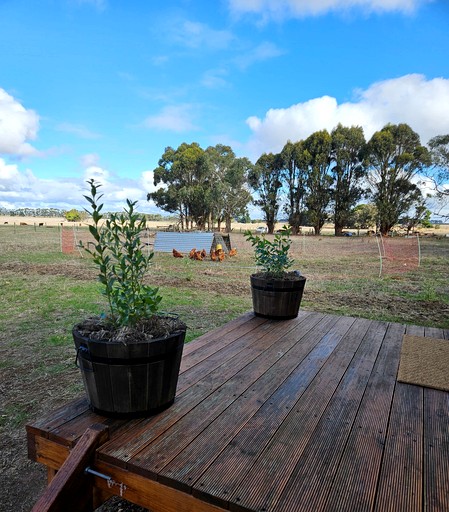 Tiny Houses (Australia, Purdeet, Victoria)
