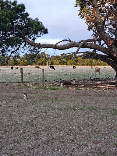 Tiny Houses (Australia, Purdeet, Victoria)