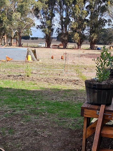 Tiny Houses (Australia, Purdeet, Victoria)