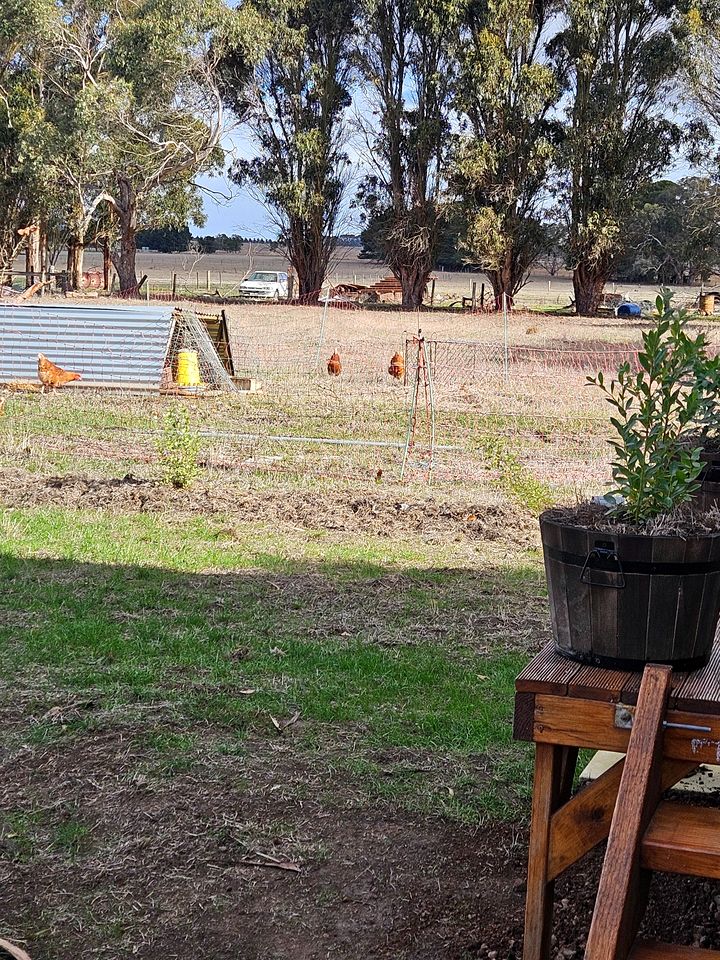 Cozy Tiny House with Lovely Outdoor Area and BBQ in Purdeet, Victoria