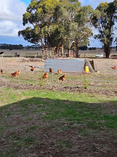 Tiny Houses (Australia, Purdeet, Victoria)