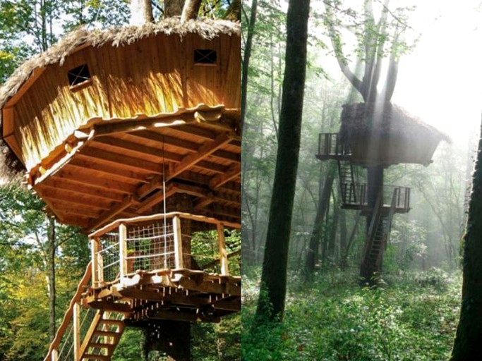 Tree Houses (Guyonvelle, Grand Est, France)