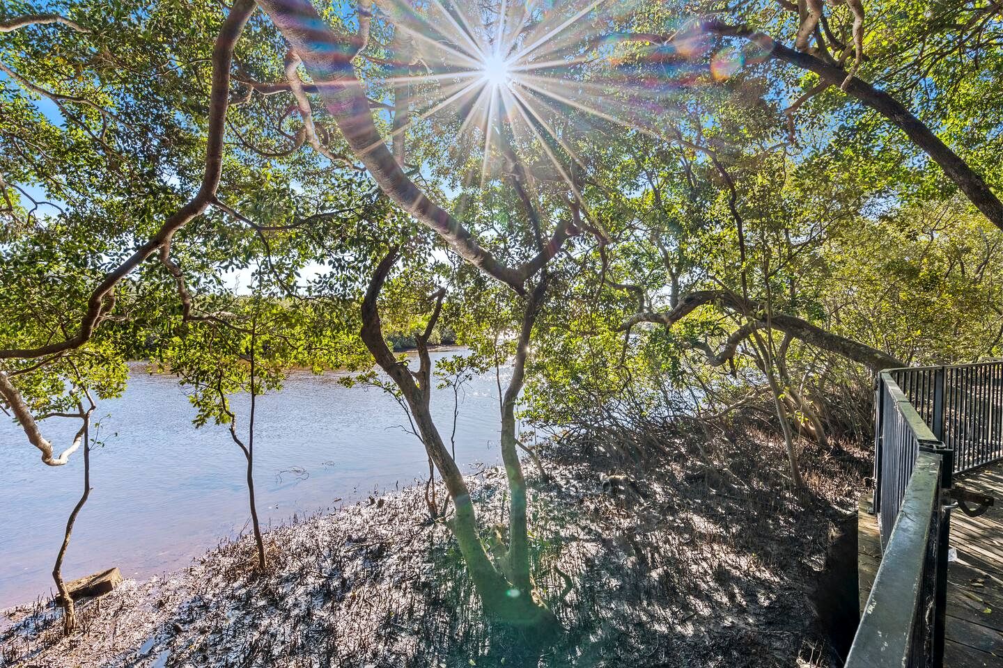 Spacious Creekside Holiday Home with Games Room & Private Studio near Hastings Point Beach, NSW