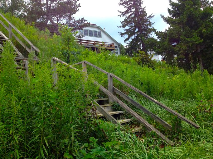 Cottages (Indiana Dunes, Indiana, United States)