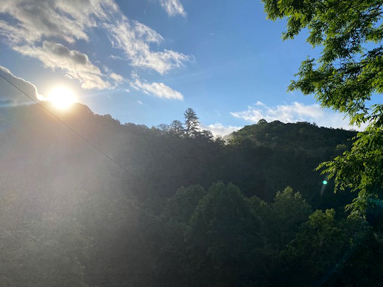 Exclusive Mountain Retreat: Secluded Cabin Experience in North Carolina