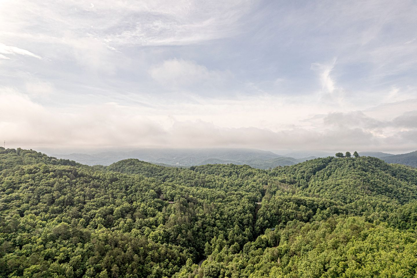 Exclusive Mountain Retreat: Secluded Cabin Experience in North Carolina