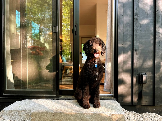 Domes (United States of America, Freeport, Maine)