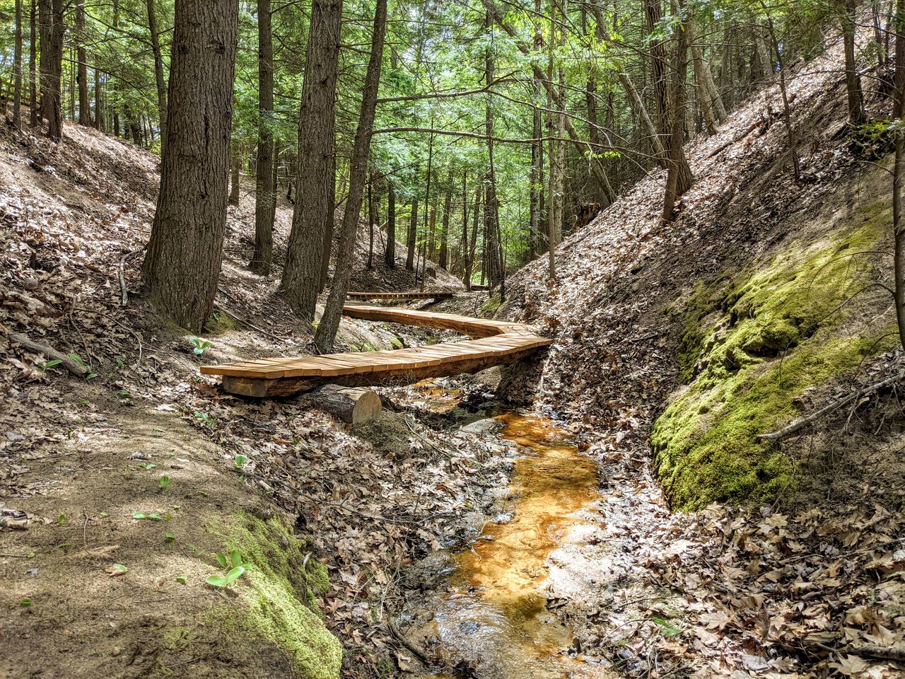 Starlit Coastal Geodesic Dome Sanctuary Near Freeport, Maine