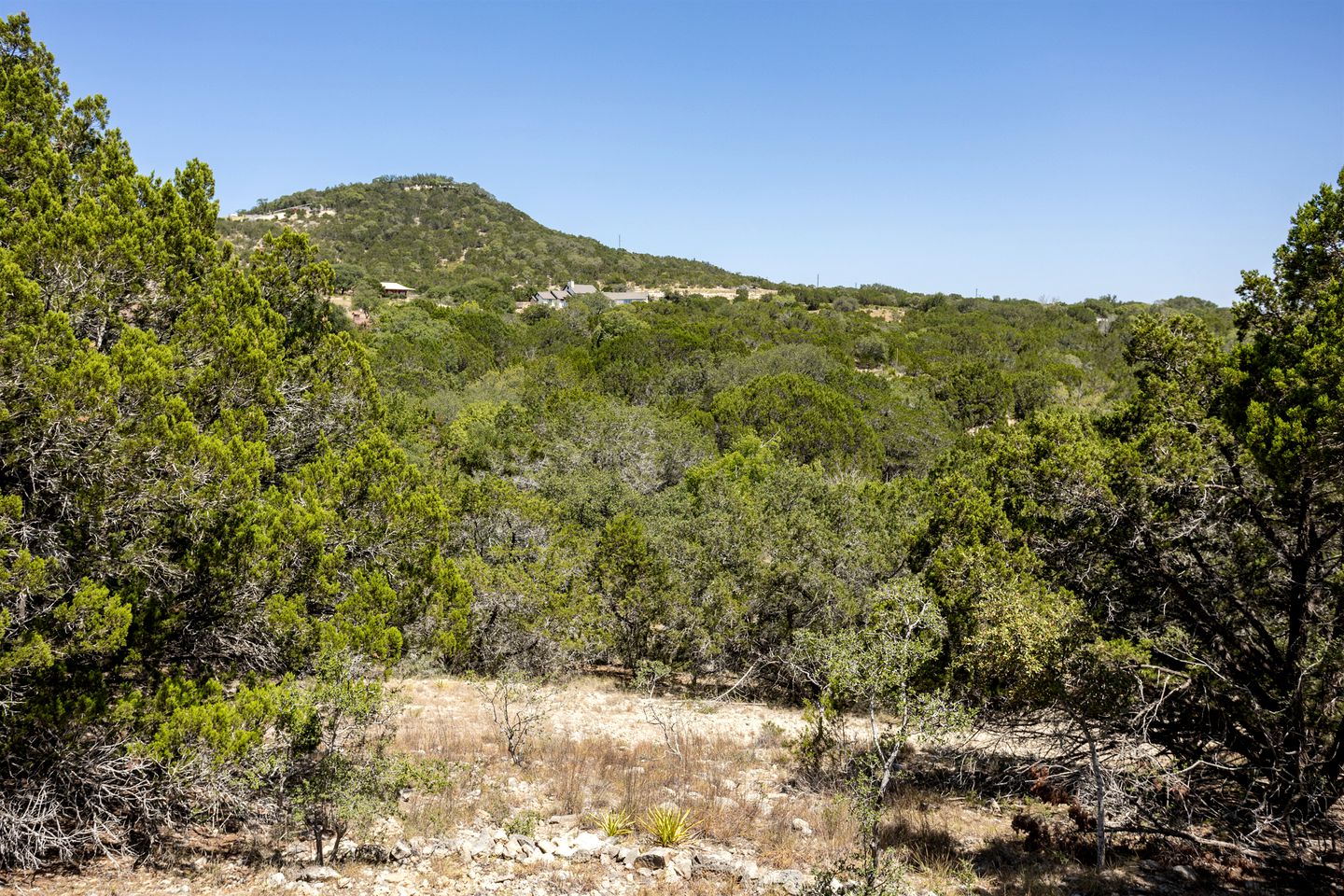 Large Pet Friendly Safari Tent, Perfect for Glamping in Texas