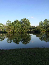 undefined photo 5