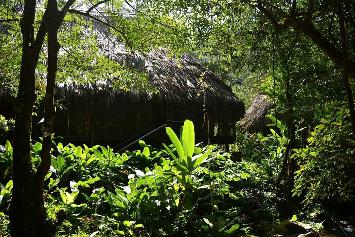 All Inclusive Hut Accommodation for a Weekend Getaway in La Ceiba, Honduras