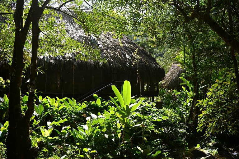 Nature Lodges (La Ceiba, Atlantida, Honduras)