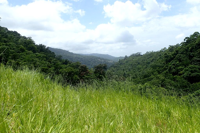 Nature Lodges (La Ceiba, Atlantida, Honduras)