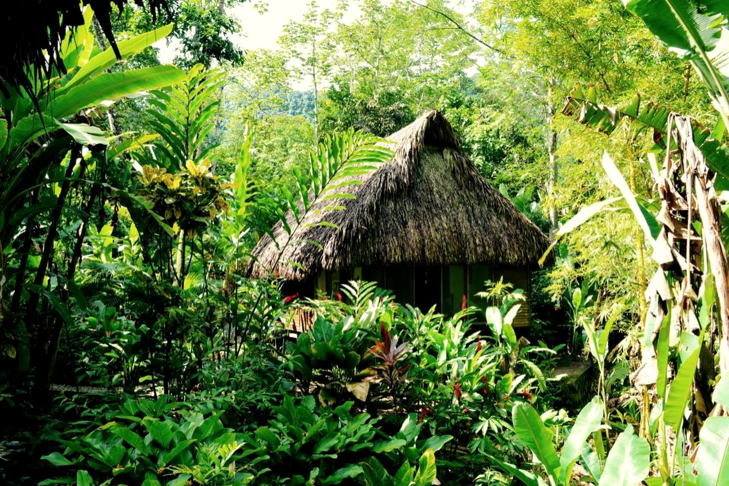 All Inclusive Unique Getaway Accommodation near Pico Bonito National Park in Honduras