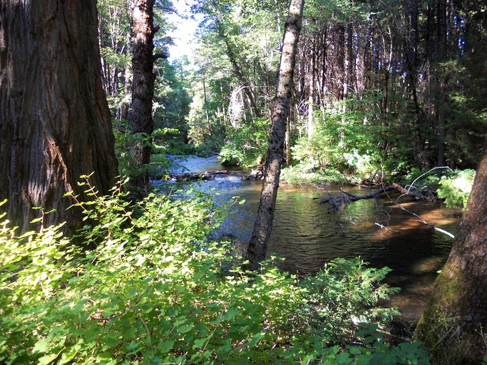 Cabins (Shingletown, California, United States)