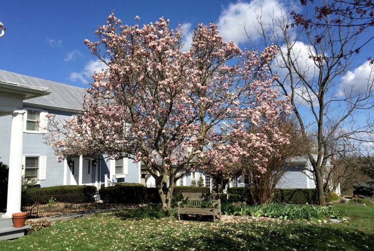 Nature Lodges (White Post, Virginia, United States)