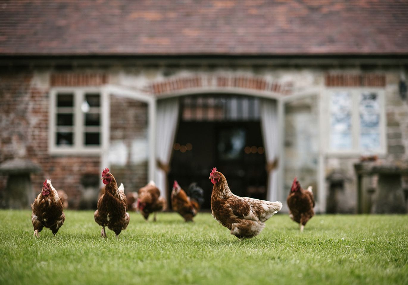 Self-Catering Luxury Countryside Rental for Large Groups in Dorset, England