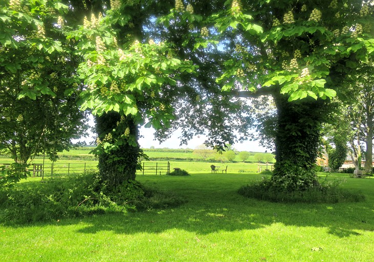 Cottages (Blandford Forum, England, United Kingdom)