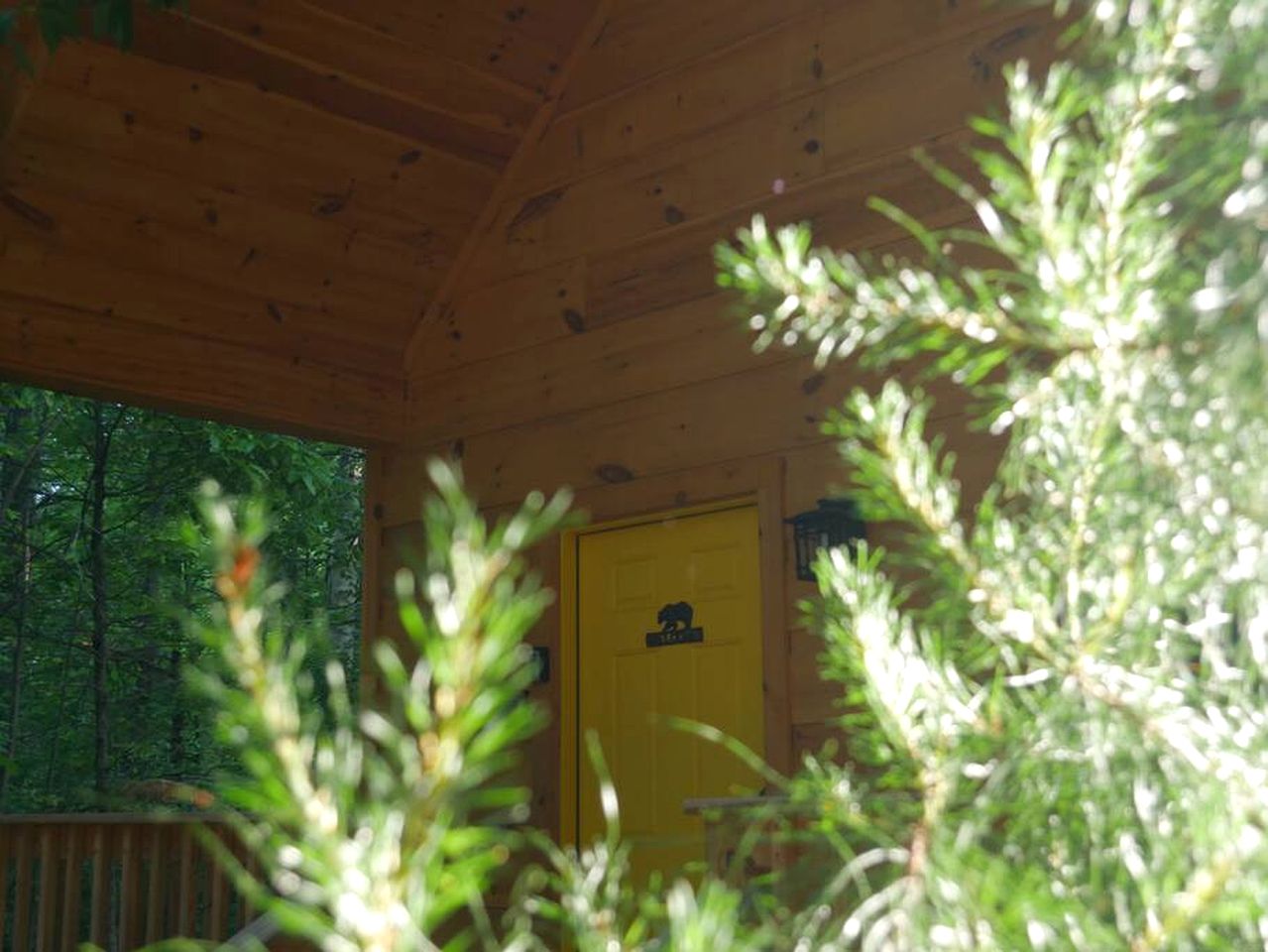 Cute Cabin Surrounded by Trees for a Relaxing Getaway in Nature, the Perfect Base for Exploring the Great Smoky Mountains in Tennessee