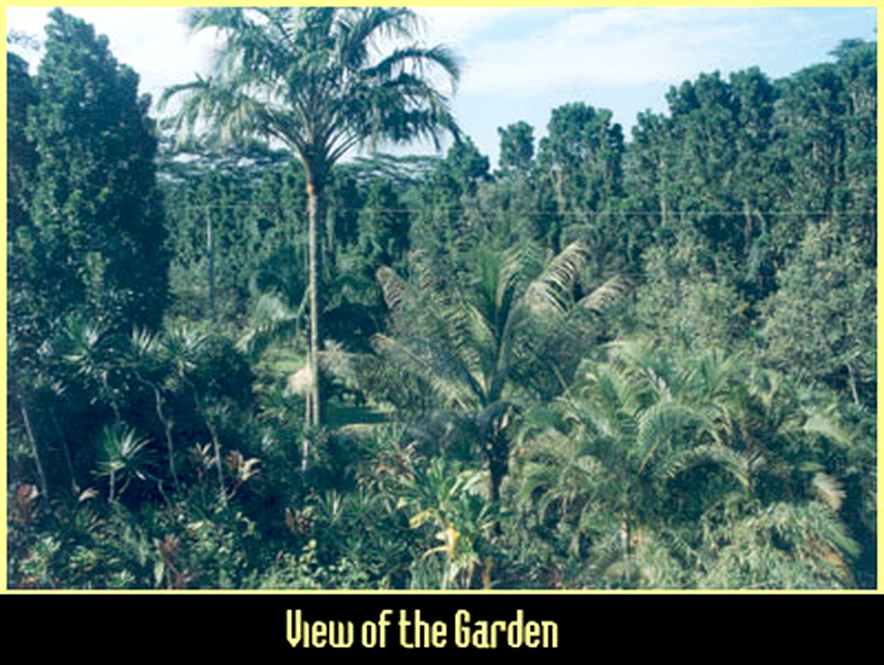 Secluded Vacation Rental with a Private Balcony on the Big Island, Hawaii