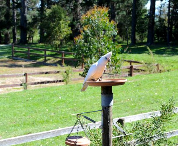 Cottages (Badger Creek, Victoria, Australia)