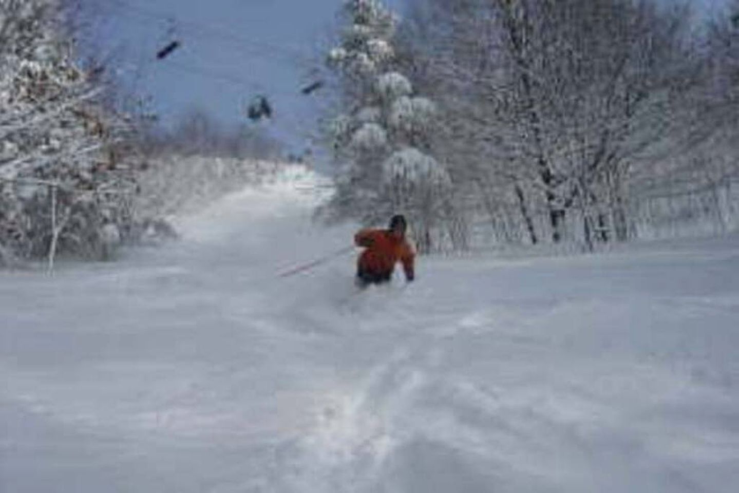 Pet-Friendly, Wonderful Waterfront Family Getaway Cabin with Private Access to Lake Mitchell & Lake Cadillac in Michigan