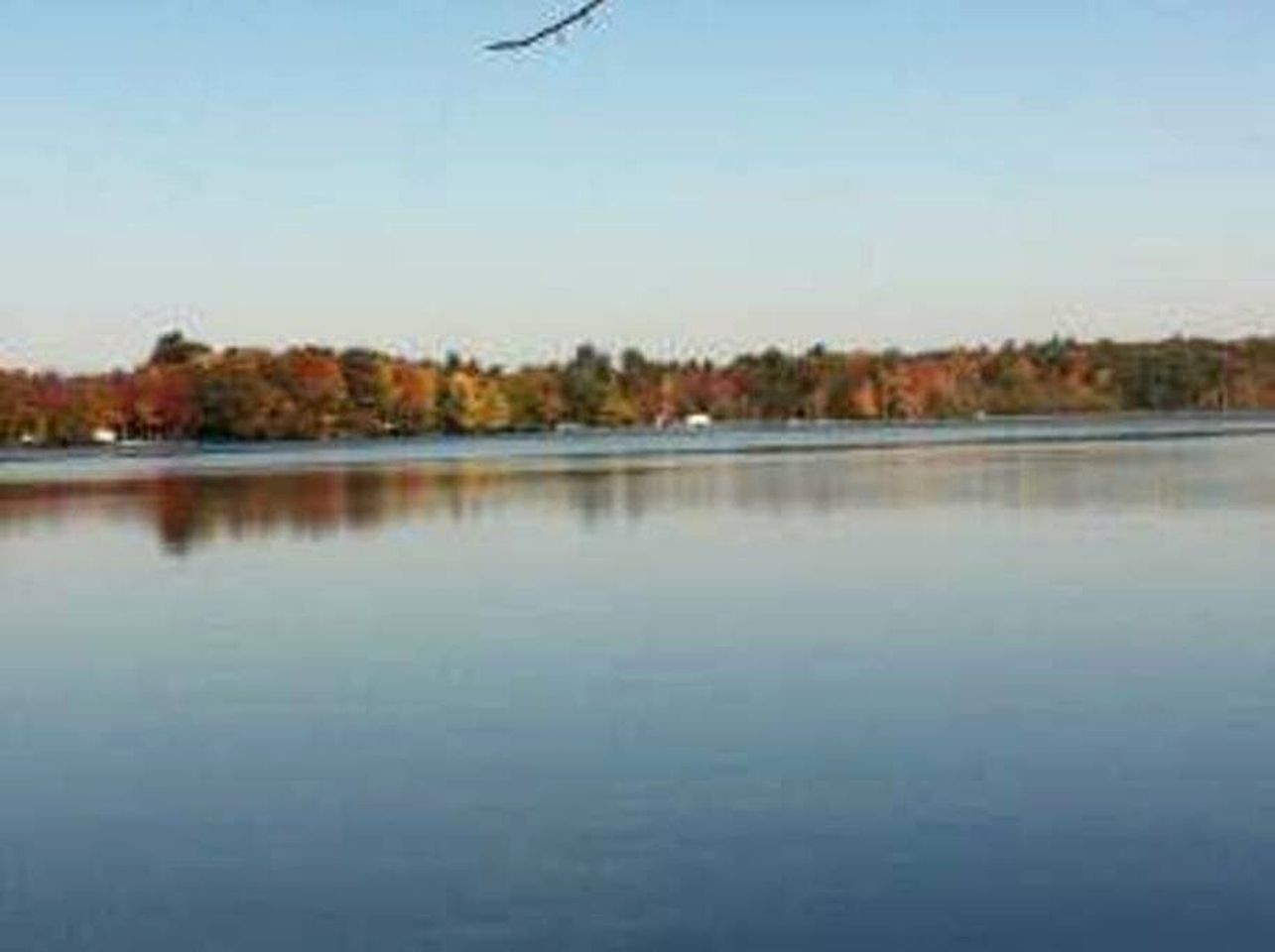 Pet-Friendly, Wonderful Waterfront Family Getaway Cabin with Private Access to Lake Mitchell & Lake Cadillac in Michigan