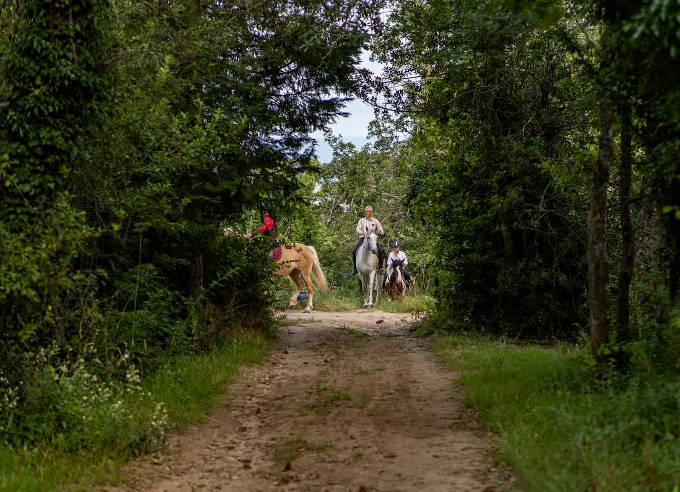 Secluded Sustainable Tiny Home with Horseback Access Near Chaîne des Puys | Châtel-Guyon, France