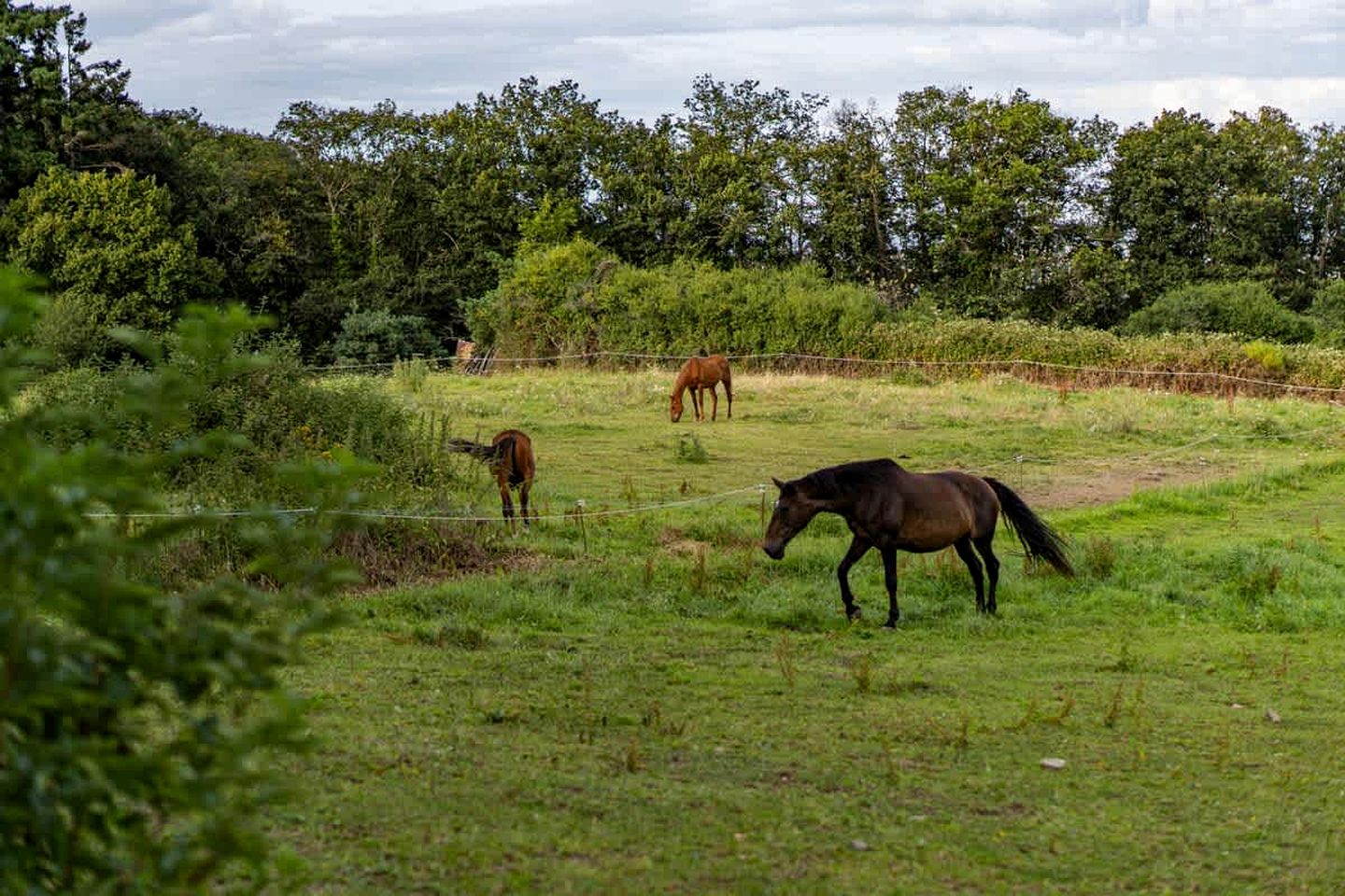 Secluded Sustainable Tiny Home with Horseback Access Near Chaîne des Puys | Châtel-Guyon, France
