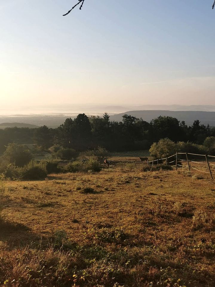 Secluded Sustainable Tiny Home with Horseback Access Near Chaîne des Puys | Châtel-Guyon, France