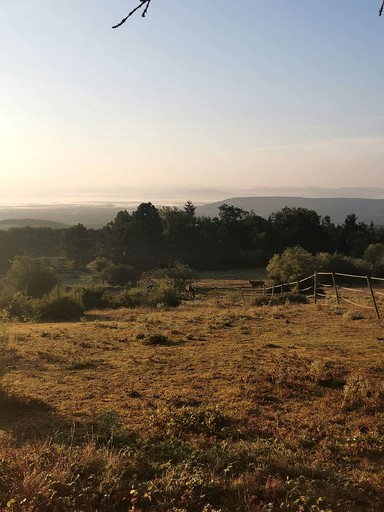 Vacation Rentals (France, --, Auvergne-Rhône-Alpes)