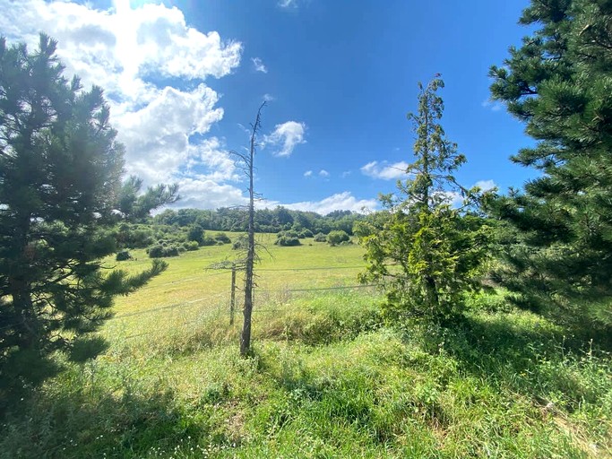 Vacation Rentals (France, --, Auvergne-Rhône-Alpes)