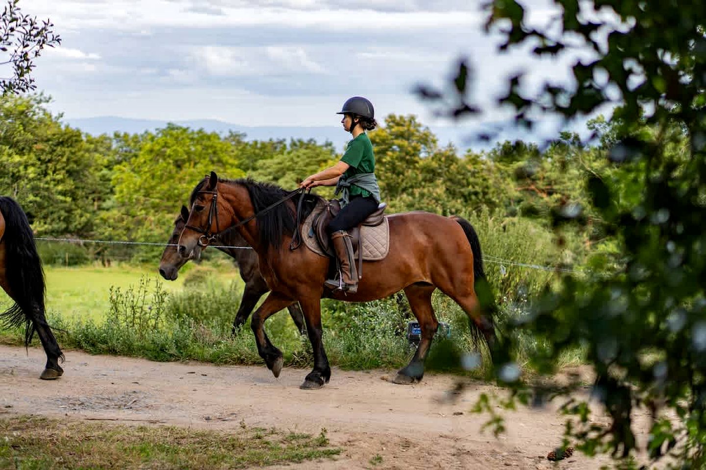 Secluded Sustainable Tiny Home with Horseback Access Near Chaîne des Puys | Châtel-Guyon, France