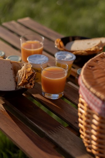 Vacation Rentals (France, --, Auvergne-Rhône-Alpes)