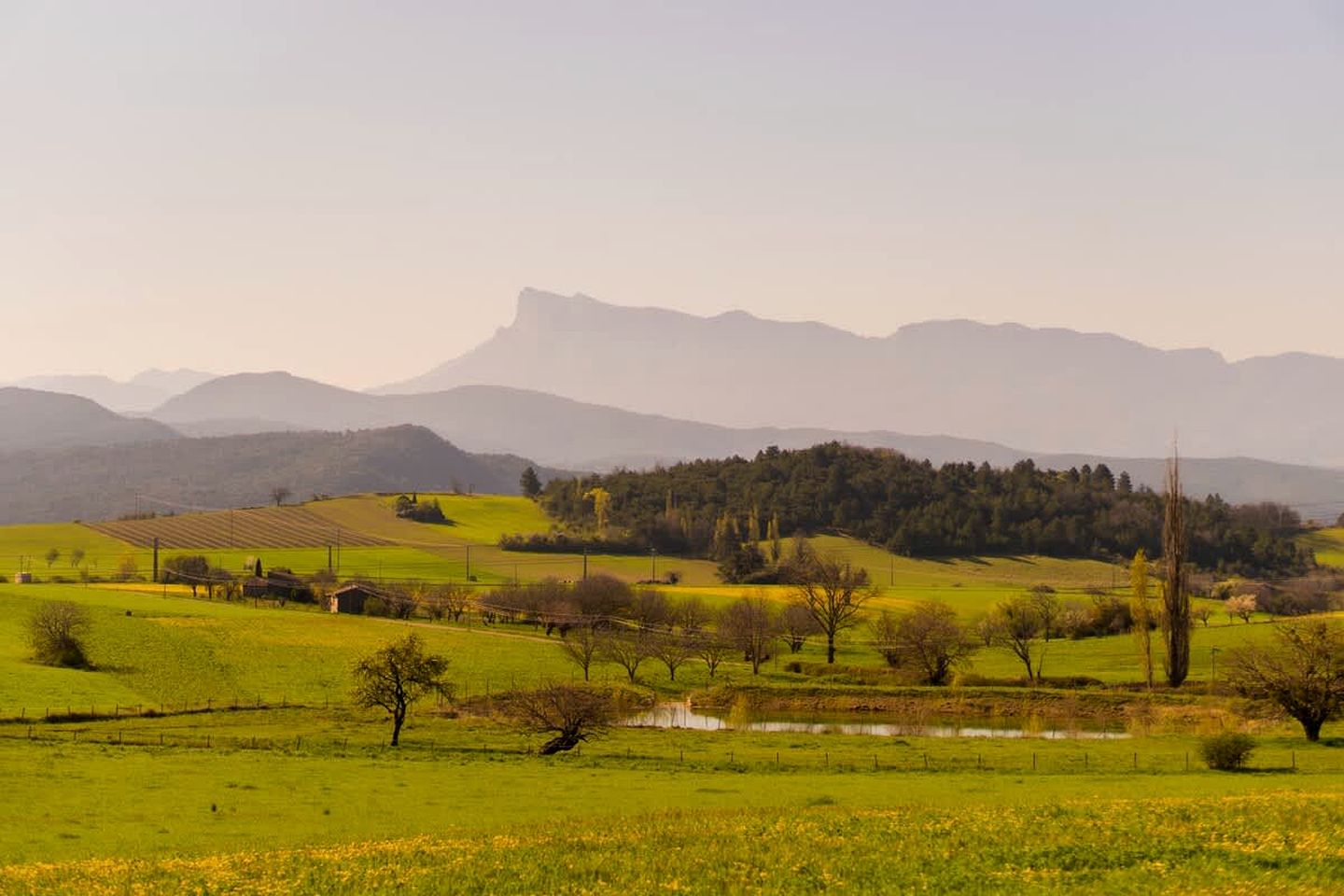 Serene Off-Grid Nature Tiny Home with Deer-Rut Views Near the Vercors | Gigors-et-Lozeron, France