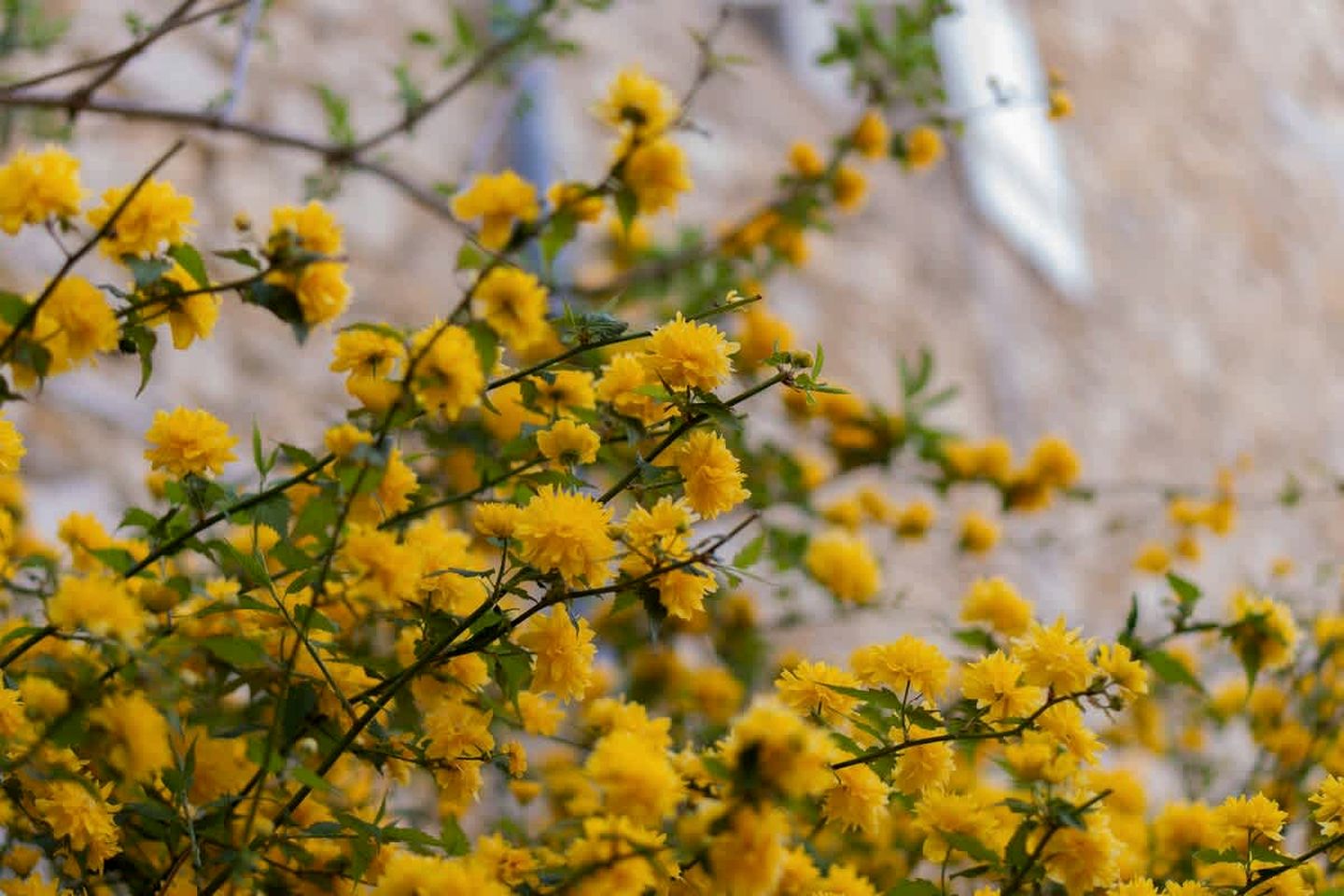 Serene Off-Grid Nature Tiny Home with Deer-Rut Views Near the Vercors | Gigors-et-Lozeron, France