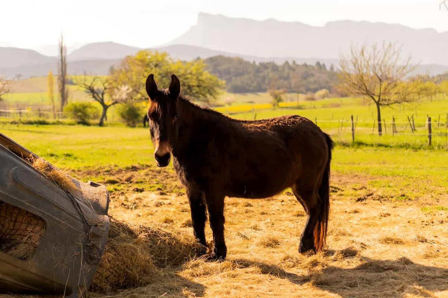 Serene Off-Grid Nature Tiny Home with Deer-Rut Views Near the Vercors | Gigors-et-Lozeron, France