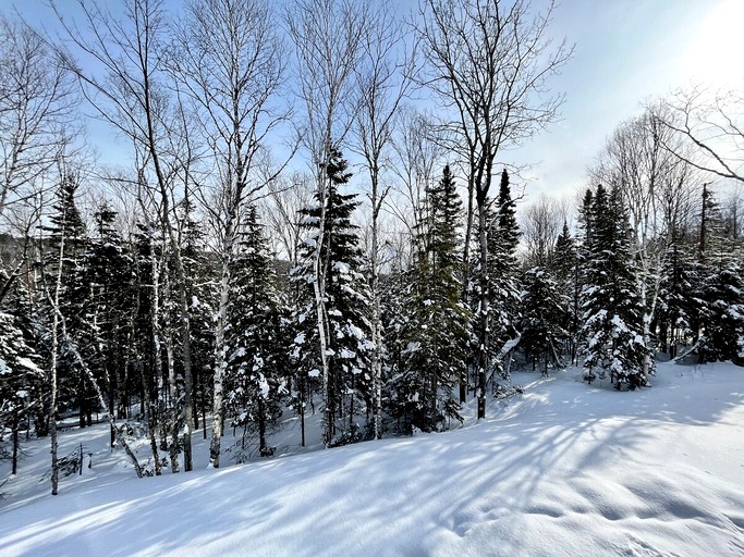 Cottages (United States of America, Charlevoix, Michigan)