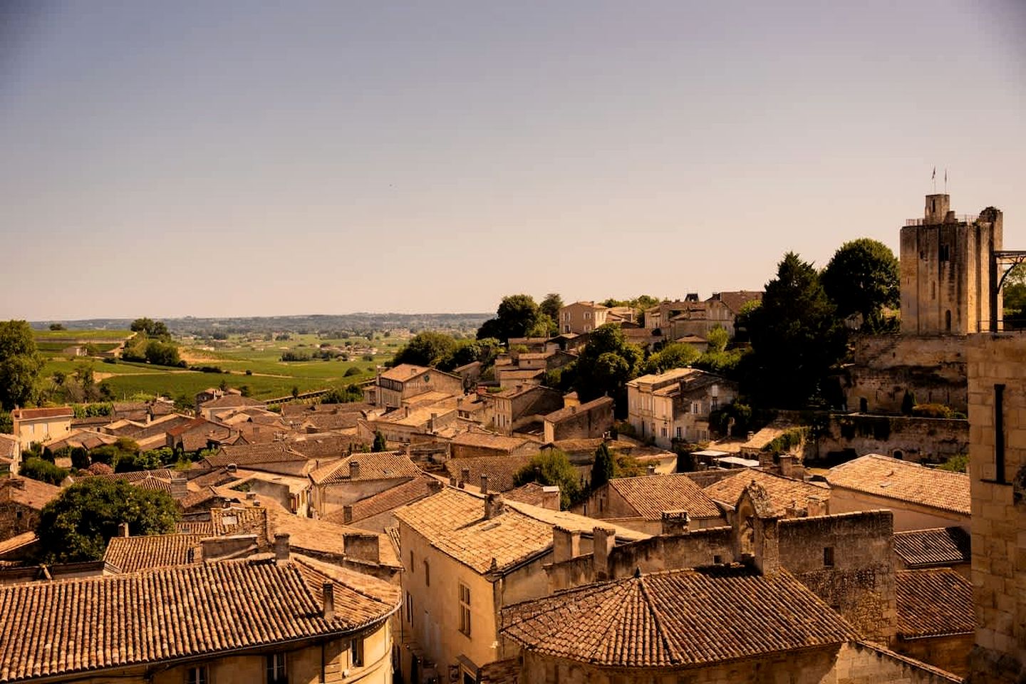 Charming Eco Tiny Home with Organic Wine & Goji Tasting near Saint-Émilion, Gironde