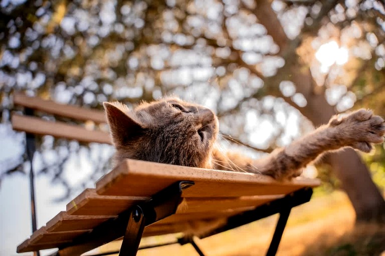 Vacation Rentals (France, Mouliets-et-Villemartin, Nouvelle-Aquitaine)