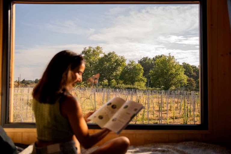 Vacation Rentals (France, Mouliets-et-Villemartin, Nouvelle-Aquitaine)