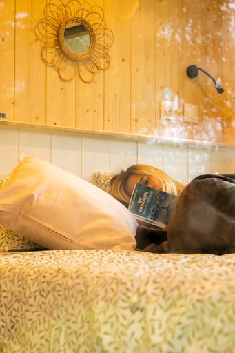 Vacation Rentals (France, Mouliets-et-Villemartin, Nouvelle-Aquitaine)