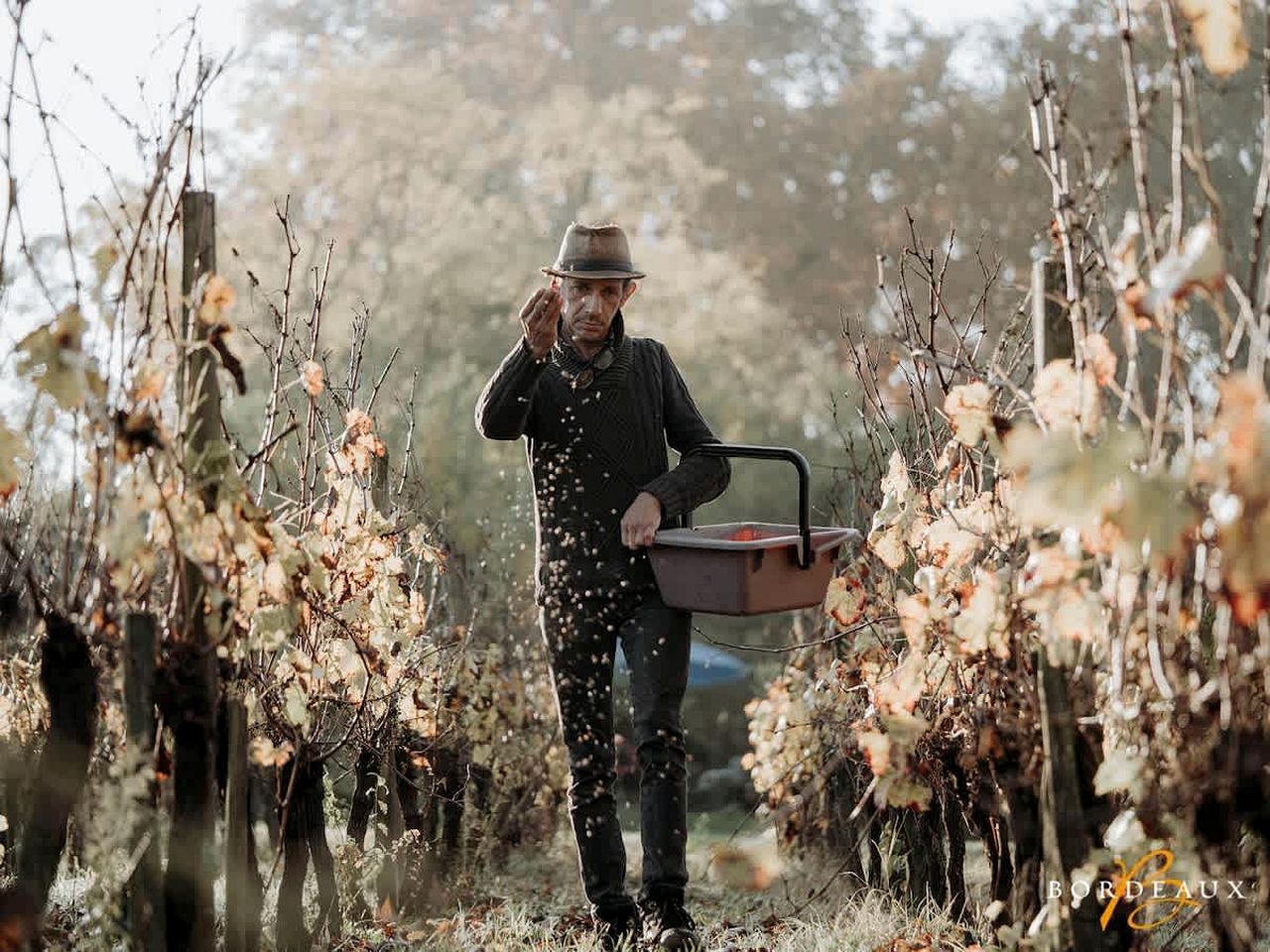 Charming Eco Tiny Home with Organic Wine & Goji Tasting near Saint-Émilion, Gironde