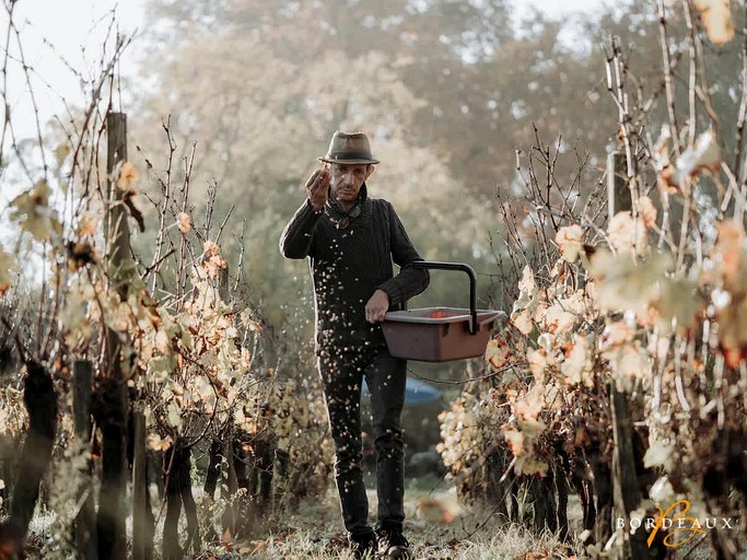 Vacation Rentals (France, Mouliets-et-Villemartin, Nouvelle-Aquitaine)