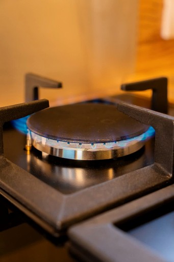 Vacation Rentals (France, Mouliets-et-Villemartin, Nouvelle-Aquitaine)