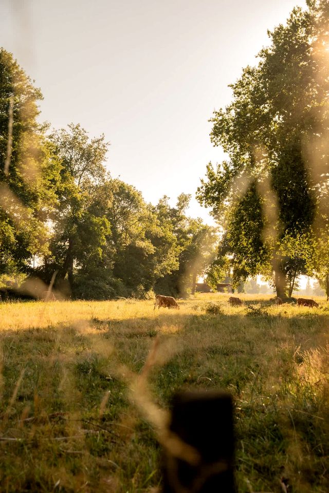 Charming Eco Tiny Home with Organic Wine & Goji Tasting near Saint-Émilion, Gironde