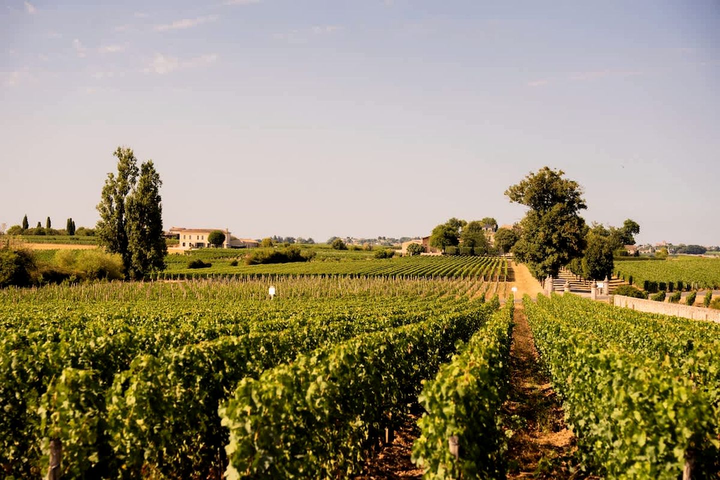 Charming Eco Tiny Home with Organic Wine & Goji Tasting near Saint-Émilion, Gironde