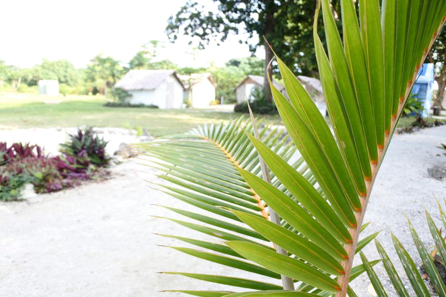 Eco-Friendly Luxury Tent Rental for an Amazing Getaway in North Efate, Vanuatu